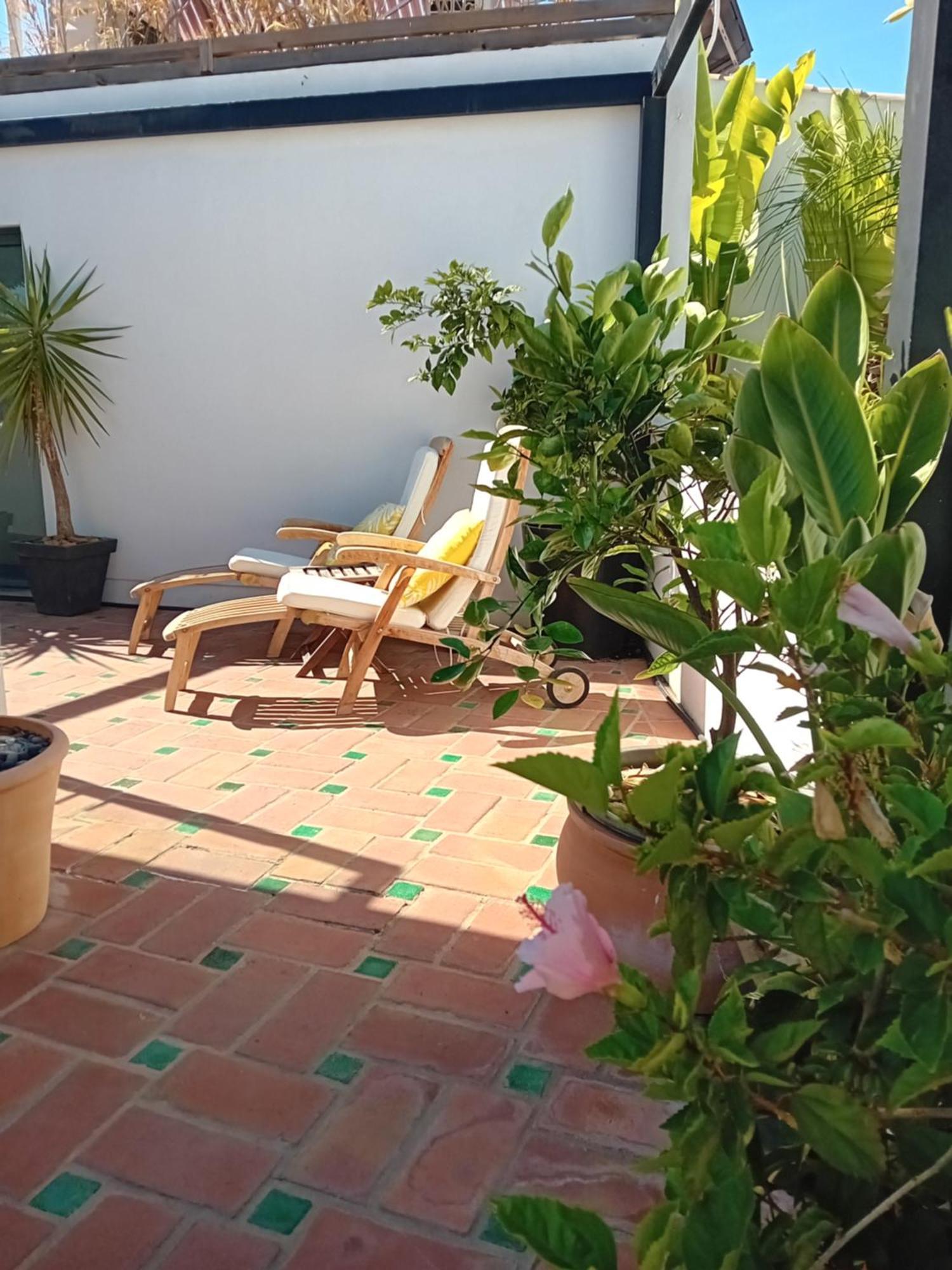 Calcada Guesthouse Tavira Exteriér fotografie